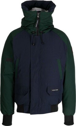 Chilliwack hooded bomber jacket