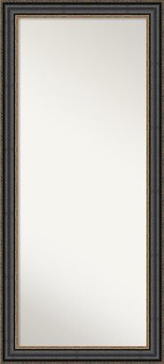 Non-Beveled Wood Full Length Floor Leaner Mirror - Thomas Black Bronze Frame - Thomas Black Bronze - Outer Size: 30 x 66 in