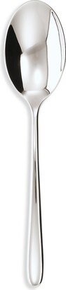 Hannah Stainless Steel Serving Spoon