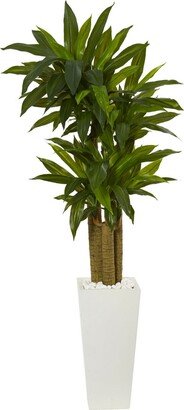 5' Cornstalk Dracaena Artificial Plant in White Tower Planter