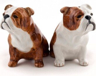 English Bulldog Dog Salt & Pepper Shaker Hand Painted Stunning Supplied Gift Boxed