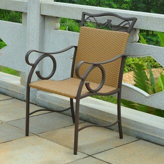 Valencia Resin Wicker/ Steel Dining Chairs