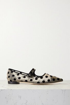 Campari Polka-dot Flocked Mesh Mary Jane Point-toe Flats - Black