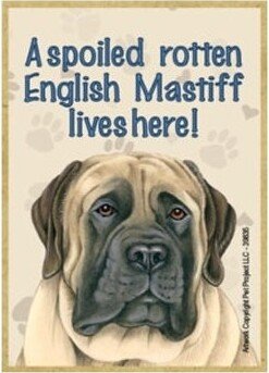 A Spoiled Rotten English Mastiff Lives Here Wood Dog Magnet Fridge Kitchen Locker Any Metal Surface Made in USA 2.5 X 3.5 Free Shipping