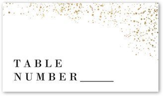 Wedding Place Cards: Sparks Fly Wedding Place Card, Grey, Placecard, Matte, Signature Smooth Cardstock