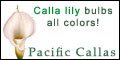 Pacific Callas Promo Codes & Coupons