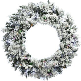 24-in. Mountain Pine Flocked Wreath with Dual Multicolor & Warm White LED Lights