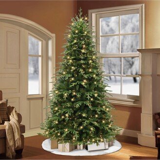 Puleo 7.5' Pre-Lit Galveston Fir Tree with 800 Underwriters Laboratories Clear Incandescent Lights, 3485 Tips