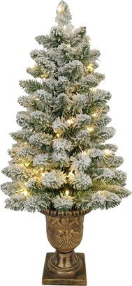 3' Pre-lit Warm Led Pine Tree in Urn