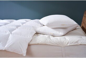 Organic Cotton Pillow Protector