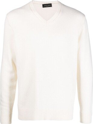 V-neck merino wool jumper-AG