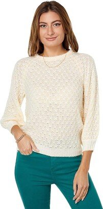 Corabelle Sweater (Coconut Honeycomb) Women's Clothing