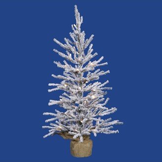 24 Flocked Angel Pine Artificial Christmas Tree, Warm White Dura-lit LED Lights