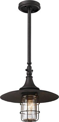 Allegheny Outdoor Pendant Light