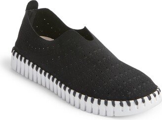 Tulip Slip-On Sneaker-AA