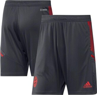 Men's Gray Bayern Munich Training Aeroready Shorts