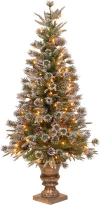 National Tree Company 4Ft Liberty Pine Entrance Tree With Clear Lights