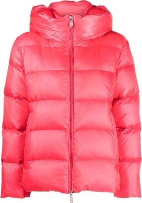 Hooded Feather-Down Puffer Jacket