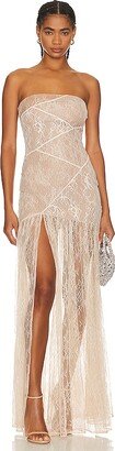 Nicole Lace Dress