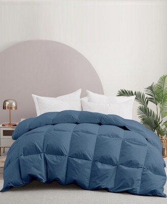 Cotton Fabric Baffled Box All Season Colored Goose Feather and Down Comforter, King