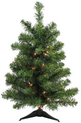 Northlight 2' Pre-Lit Canadian Pine Artificial Christmas Tree - Clear Lights