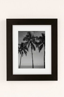 Bethany Young Photography Hawaiian Palms IV Art Print