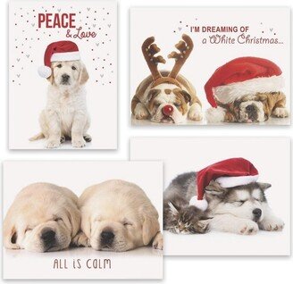 Masterpiece Studios 16-Count Boxed Assorted Christmas Cards, 4 each of 4 Different Designs, 6.25