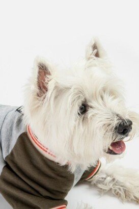 Silver Paw Dog Chase Raglan Sweatshirt