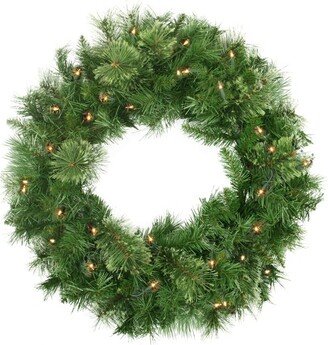 Northlight 24 Pre-Lit Mixed Cashmere Pine Artificial Christmas Wreath - Clear Lights