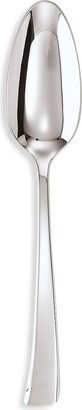 Imagine Stainless Steel Serving Spoon