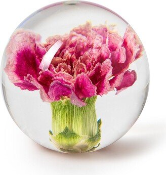 In Flore Carnation Flower Paperweight, 7 cm, Pink