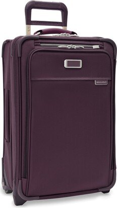 Baseline 22 Essential 2-Wheel Carry-On