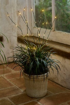 LED Plant Lights