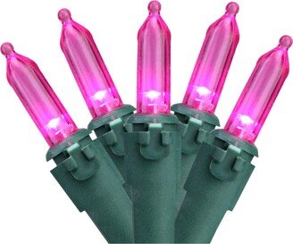 Northlight Set of 50 Pink Led Mini Christmas Lights 4 Spacing - Green Wire