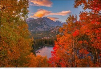 Darren White Photography Autumn's Breath Canvas Art - 36.5 x 48