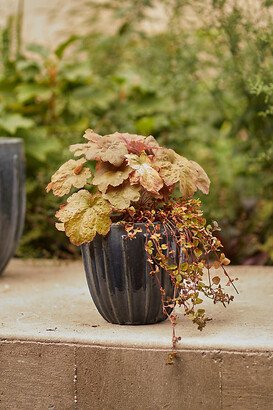 Linear Ceramic Egg Planter