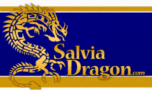 Salvia Dragon Promo Codes & Coupons