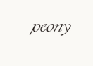 Peony Promo Codes & Coupons