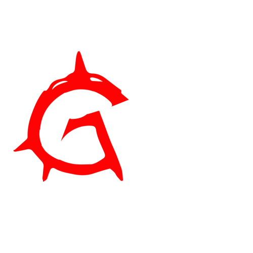 Anarchy Gym Promo Codes & Coupons