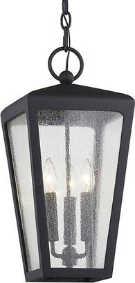 Mariden Outdoor Pendant Light