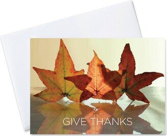 CEO Cards Thanksgiving Greeting Card Box Set of 25 Cards & 26 Envelopes - TH1502