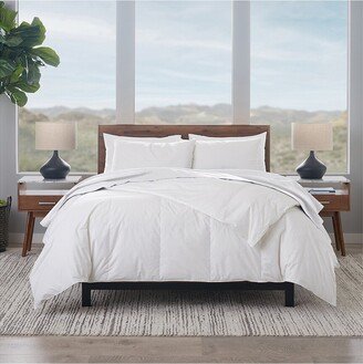 Ella Jayne Lightweight Down-Blend Comforter-AA