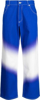 Ombré-Effect Straight-Leg Trousers-AA