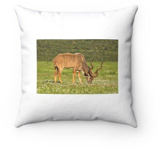 Feeding Kudu Pillow - Throw Custom Cover Gift Idea Room Decor