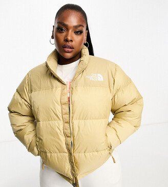 Plus 1996 Retro Nuptse down puffer jacket in beige