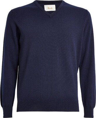 Cashmere V-Neck Sweater-AA