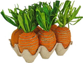 National Tree Company 5 Egg Carton Carrots Tabletop Décor - 5 in