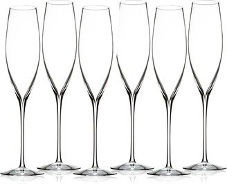 Elegance Classic Champagne Toasting Flute 9 Oz, Set of 6