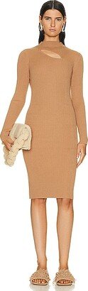 Mauve Maxi Dress in Tan