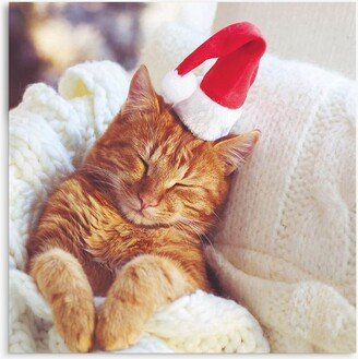Woodmansterne Santa Hat Cat Christmas Card